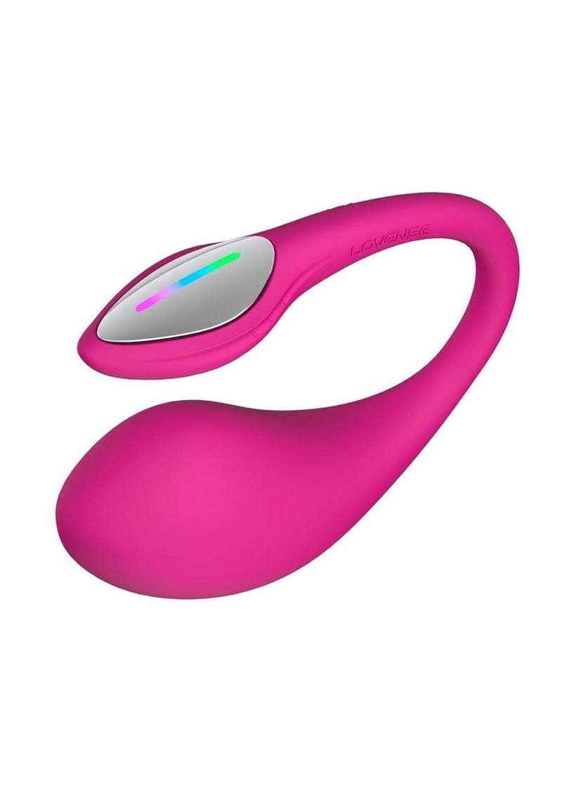 Long-Distance Sex Toys– Hamilton Park Electronics
