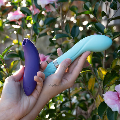We-Vibe Melt 2 + Pillow Talk Sassy Bundle - Hamilton Park Electronics