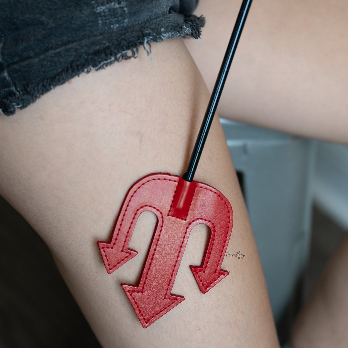 Devil's Leather Crop - Hamilton Park Electronics