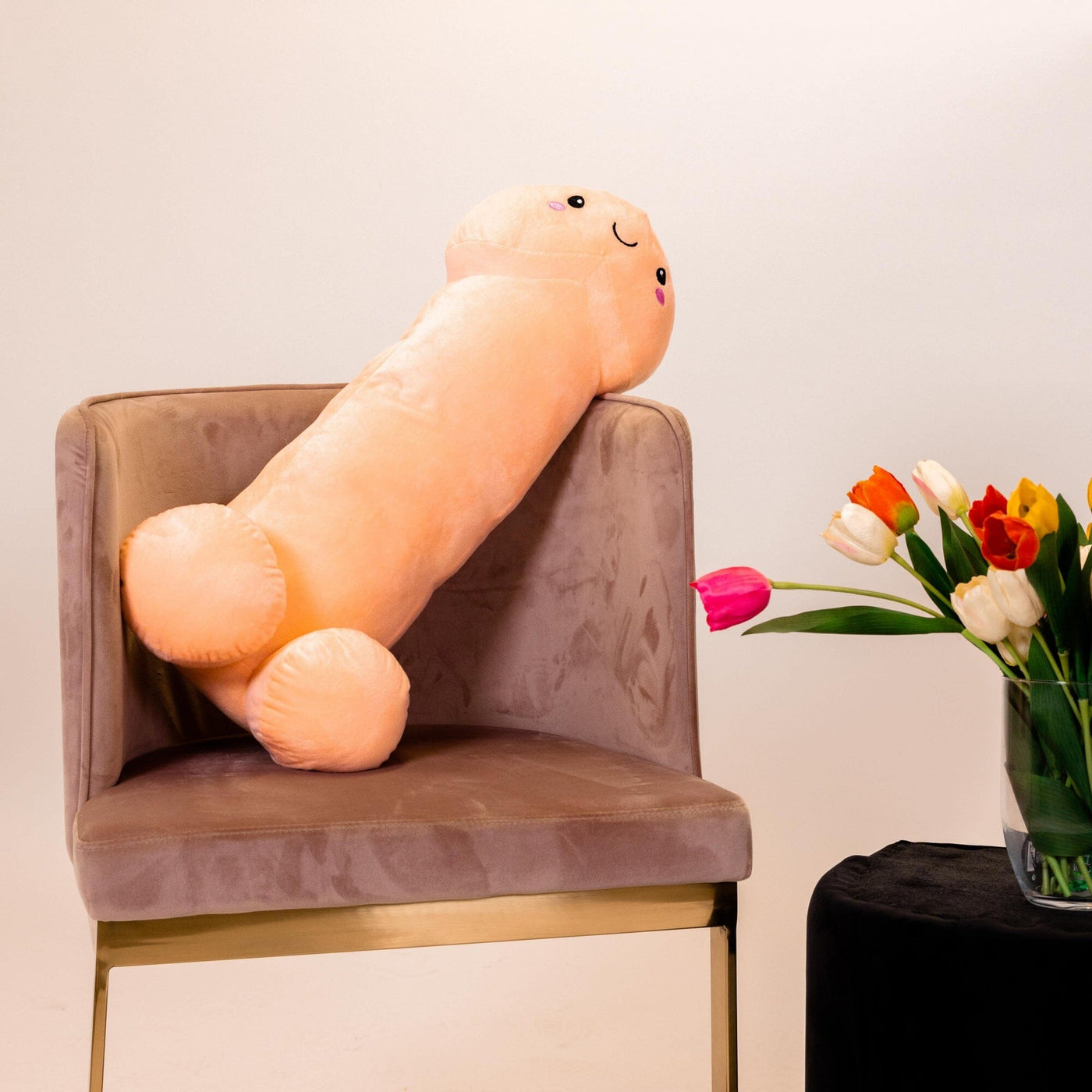 Penis Plushie - "Don't Be a Dick"! 12 Inches or 24 Inches - Hamilton Park Electronics