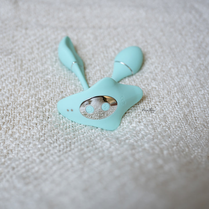 vibrate in silent mode iphone 15 Rose Anal Plug Remote Control Rose Butt Plug – Honeyloveyou