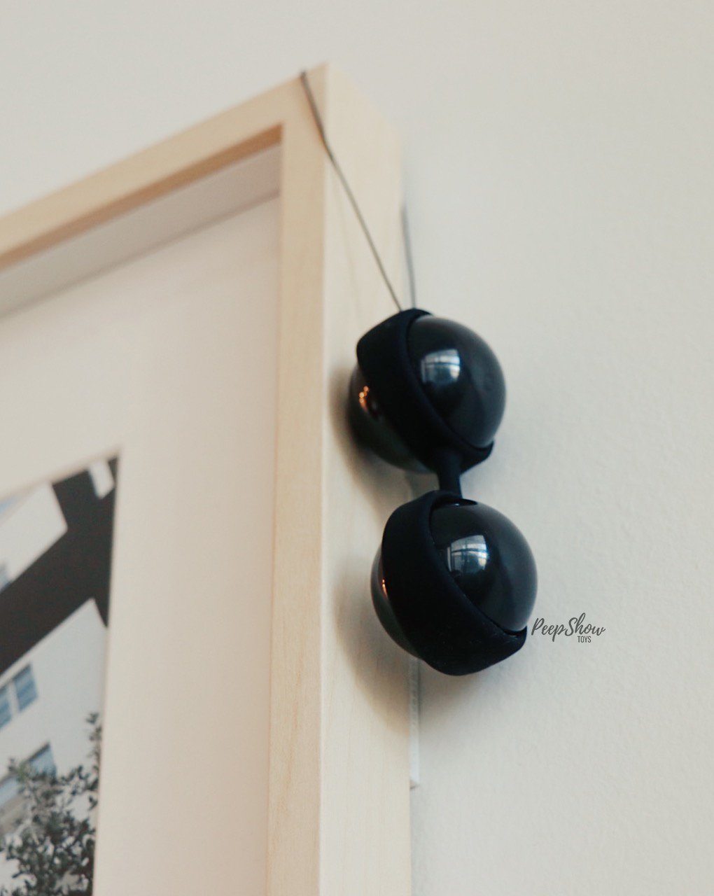 LELO Luna Beads Noir Kegel Balls - Hamilton Park Electronics