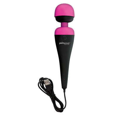 BMS Factory PalmPower Plug & Play Massager Corded Rechargeable Wand Vibrator - Hamilton Park Electronics