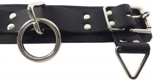 Locking 3-Ring Leather Collar by Spartacus - Hamilton Park Electronics