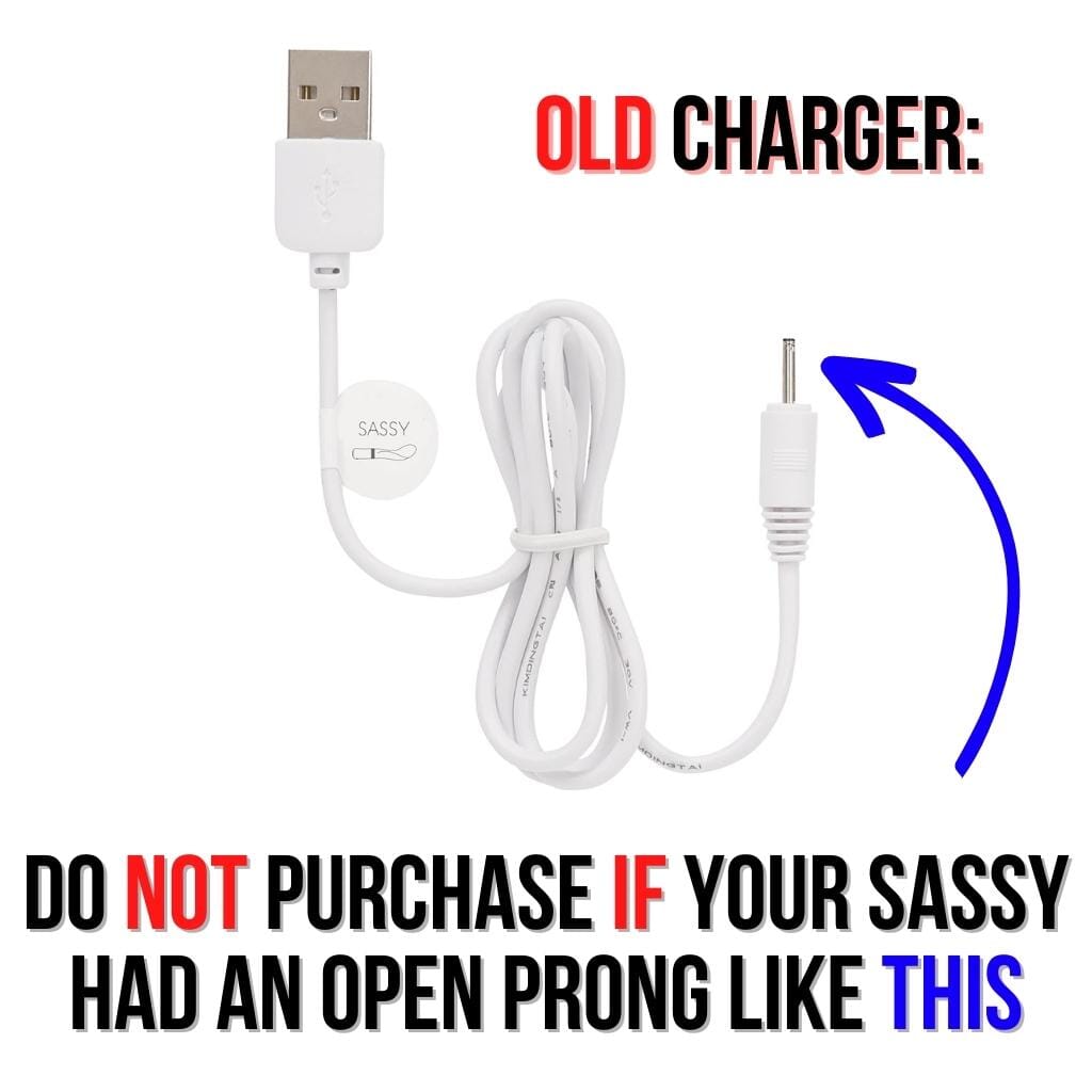 Pillow Talk Sassy Charging Cord Hamilton Park Electronics Pillow Talk Sassy Charging Cord Hamilton Park Electronics