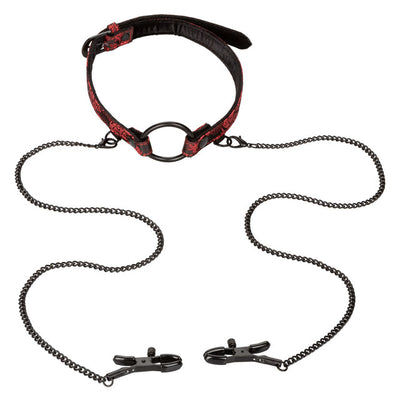 Scandal Open Mouth Gag with Clamps - Hamilton Park Electronics